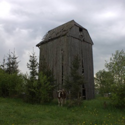 Wiatrak w Ostromęczynie 